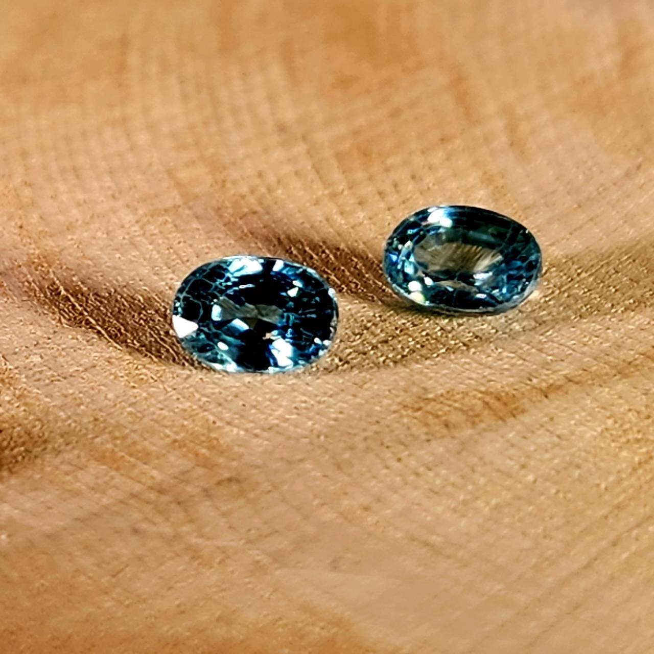 サマーセール開催中